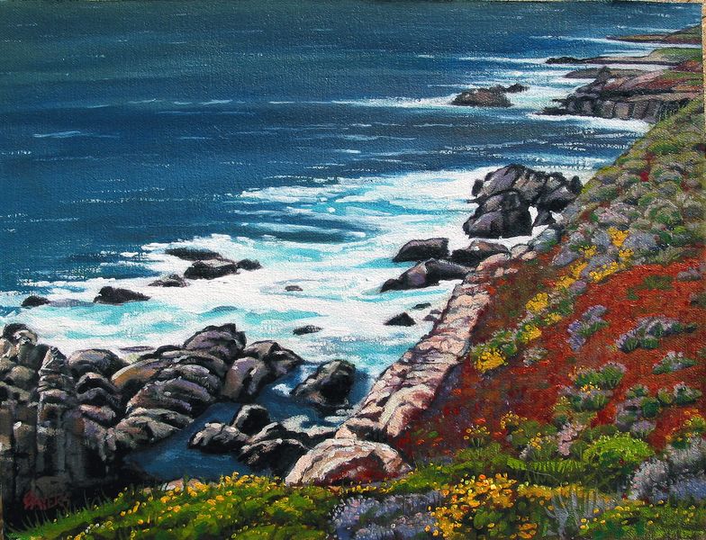Rocky coast with yellow flowers